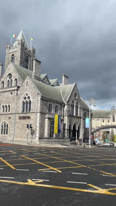 Dublinia Video stock 176499715