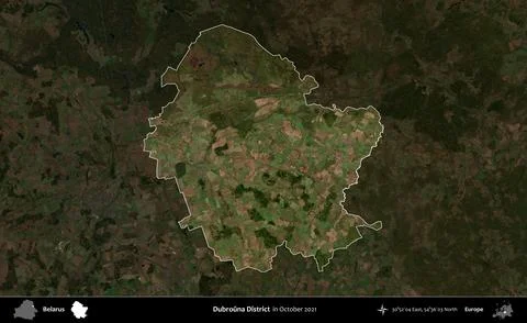 Dubrouna District highlighted, Belarus. Sentinel-2 Mosaic. October 2021 Stock Illustration