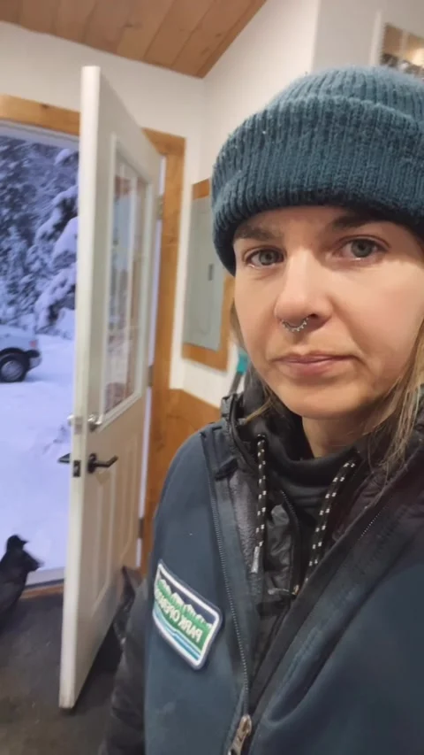 Dubstep Ravens, Manning Park Resort, British Columbia, Canada - 24 Nov 2023 Stock Footage 328727284