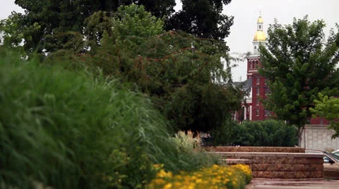Dubuque's City Hall Through Trees Stock Footage 25194383