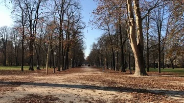 Ducal Park or The Garden of Parma in Italy in winter. Stock-Footage 86132202