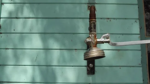 Ducha de campo Stock Footage 139681224