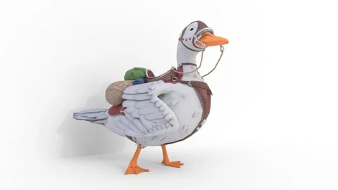 Duck 3d animation Stock Footage 309945636