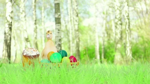 Duck and easter on a green lawn Stock Footage 76511658