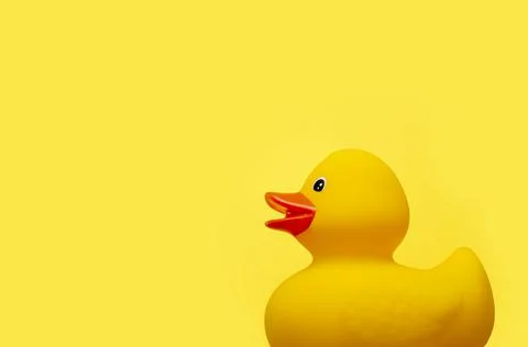 Duck background with plastic rubber ducky Stock Photos