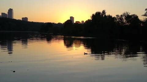 Duck On A Beautiful River At Sunset Stock Footage 91623157