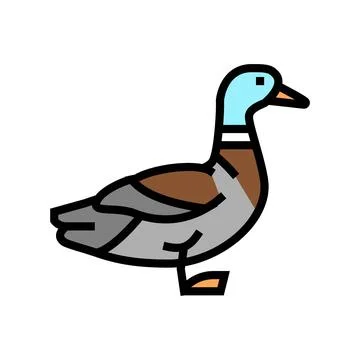 Duck bird color icon vector illustration Stock Illustration