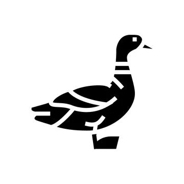Duck bird glyph icon vector illustration Stockillustratie