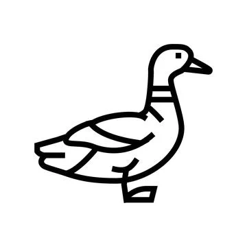 Duck bird line icon vector illustration Illustrazione stock