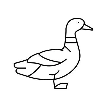 Duck bird line icon vector illustration イラスト素材