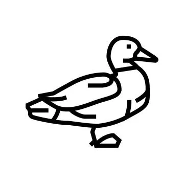 Duck bird line icon vector illustration Stock Illustration