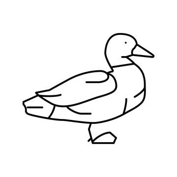 Duck bird line icon vector illustration Illustrazione stock
