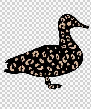 Duck Black Silhouette Side Profile standing bird white Stock-Illustration