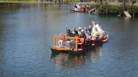 DUCK BOAT Video stock 178917807