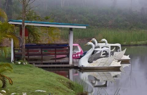 Duck boat Stock Photos