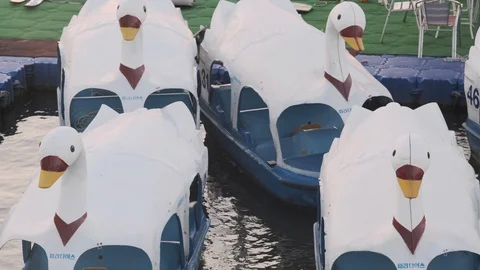 Duck boats at Han River Stock Footage 115521159