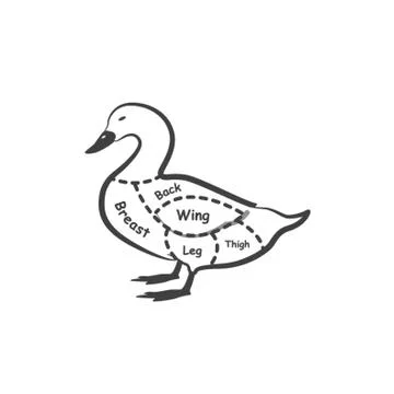 Duck Butcher Cut Chart Stockillustratie
