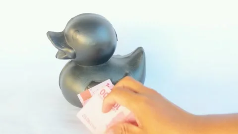 Duck Coin Box and One Hundred Thousand rupiah money Stock Footage 288477984