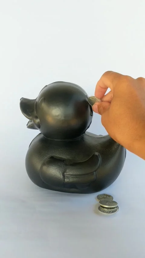 Duck Coin Box and Rupiah coins Stock Footage 288477935