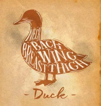 Duck cutting scheme craft Stock Illustration