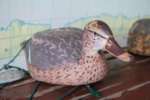 Duck decoy Stock Photos
