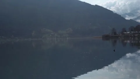 Duck diving under the water on the lake in zell am see austria. catching food Stock Footage 306765224