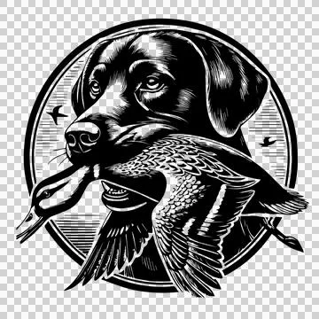 Duck Dog Holding In Circular Frame carrying bird circle Stock Illustration