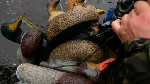 Duck dummies hunting concept Stock Footage 100629825