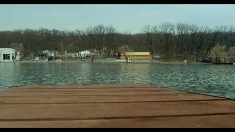 Duck in Early Spring Ciric Lake Stock Footage 266736725