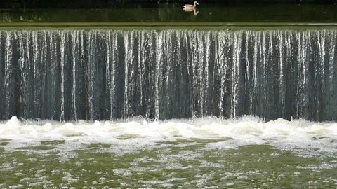 Duck on the edge of falls. Video stock 117097295