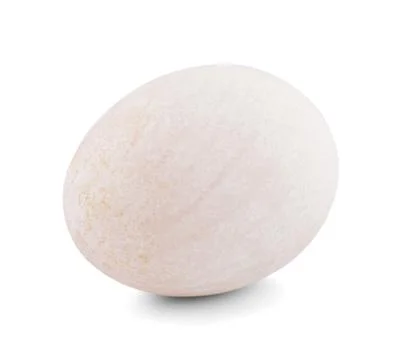 Duck egg isolated on white background Stock Photos