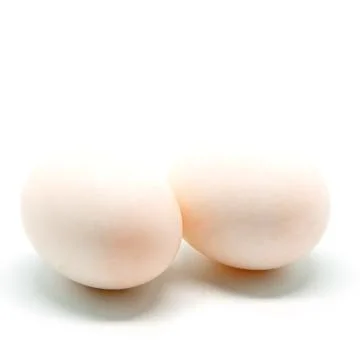 Duck egg Stock Photos