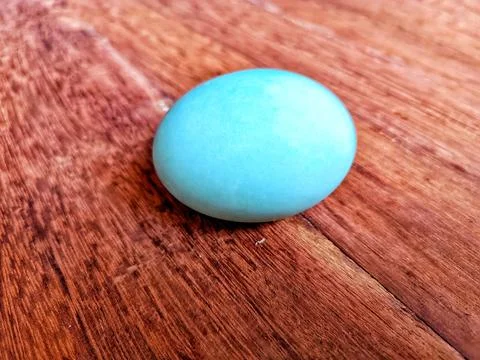 A duck egg Stock Photos