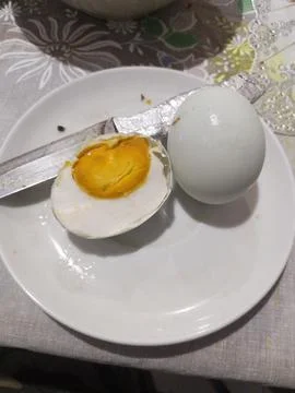 Duck Egg Foto stock