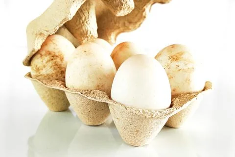 Duck eggs in a container Stock Photos