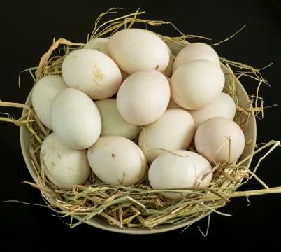 Duck eggs for cooking Stock Photos