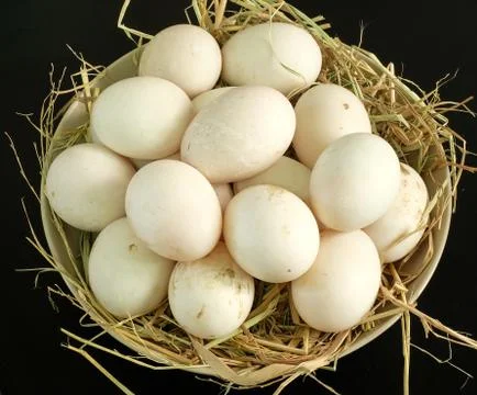 Duck eggs for cooking Stock Photos