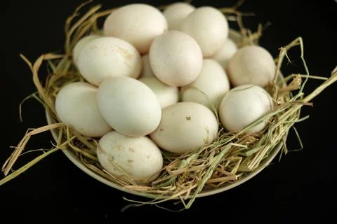 Duck eggs for cooking Stock Photos