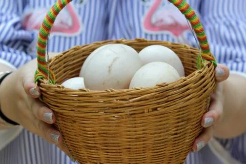 Duck eggs in the wicker baskets Stock Photos