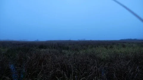 Duck flies to hunter. Nice shot, duck falls down into the water Video stock 100628796