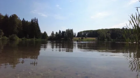 Duck on a forest pond 動画素材 159724672