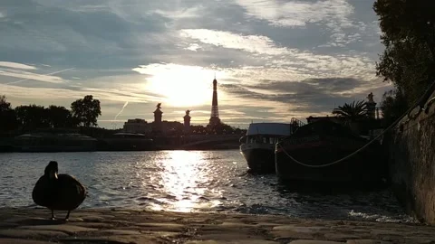 Duck in front of the Eiffel Tower, Paris France. Stock Footage 142072989