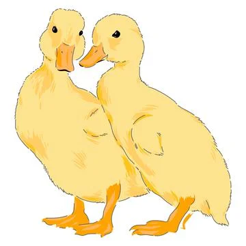 Duck hand drawn vector illustration set isolated Illustrazione stock