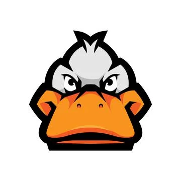 Duck head Stock Illustration