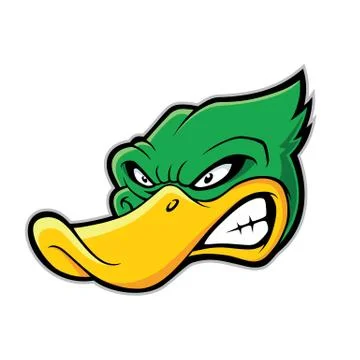 Duck head mascot Stock Illustration