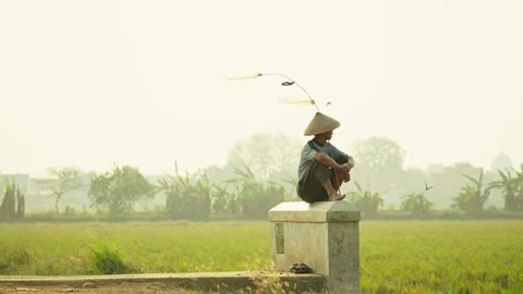 Duck Herder Sitting and Waiting for Ducks in the Afternoon Stock Footage 346014427