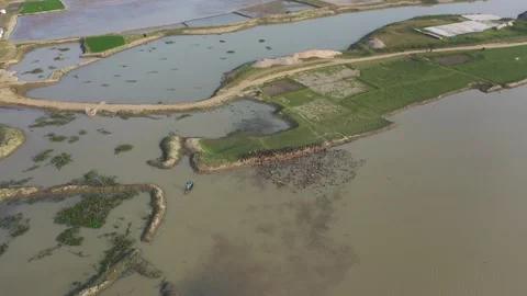 Duck herding Stock Footage 252158337