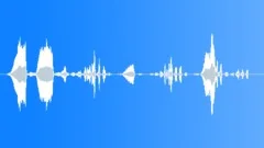 Duck Hissing Sound Effect