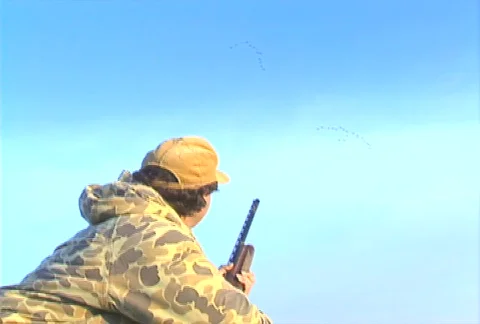Duck hunt 04 Stock Footage 505256