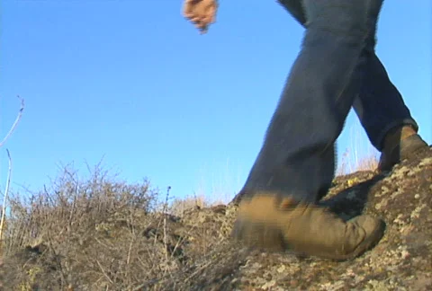 Duck hunt 05 Stock Footage 505265